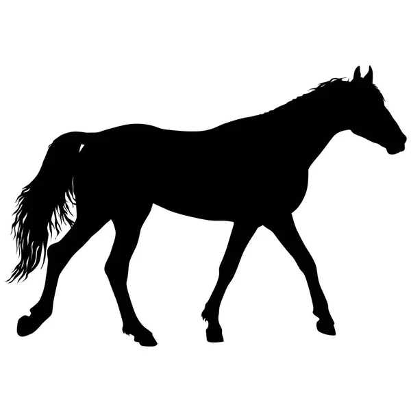 Dierlijke silhouet van zwarte mustang paard illustratie — Stockvector