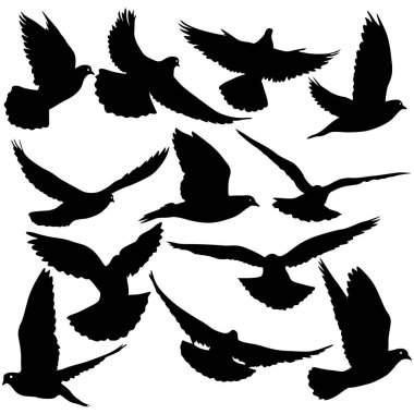 Sevgi ve barış kavramı. Set siluetleri güvercinler