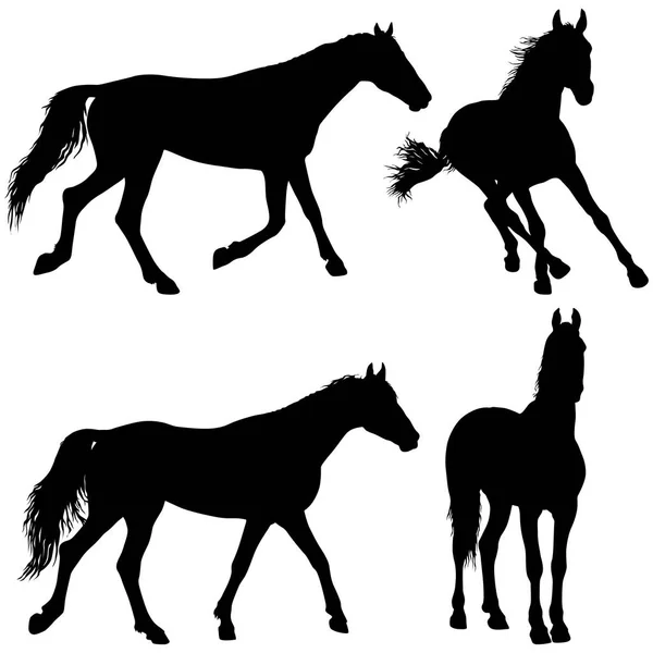 黒いムスタング馬イラストのセットの動物のシルエット — ストックベクタ