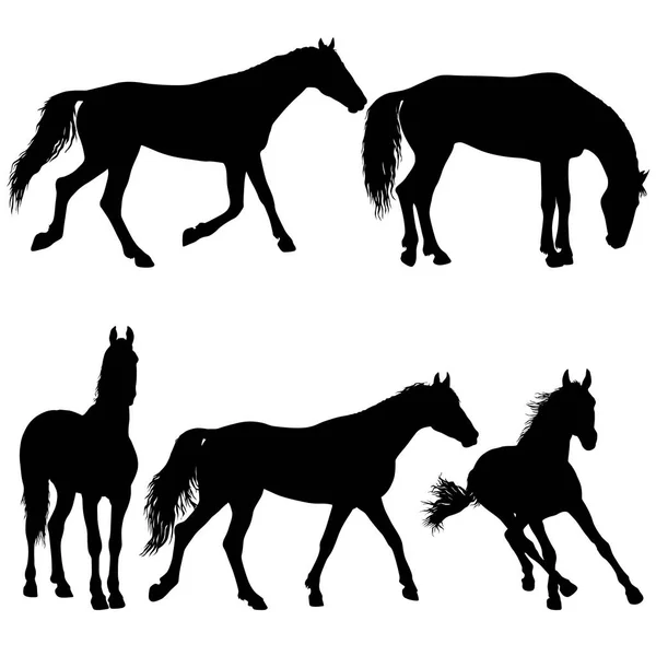 Ställ in djur silhuett av svart mustang häst illustration — Stock vektor