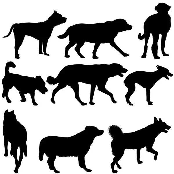白色背景上的黑色设置的轮廓狗 — 图库矢量图片