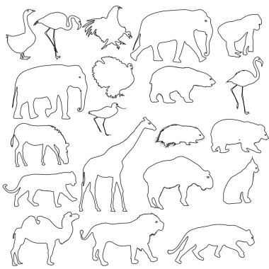 Siluet fil ayı kartal tırıs ördek zebra beyaz bir arka plan üzerinde