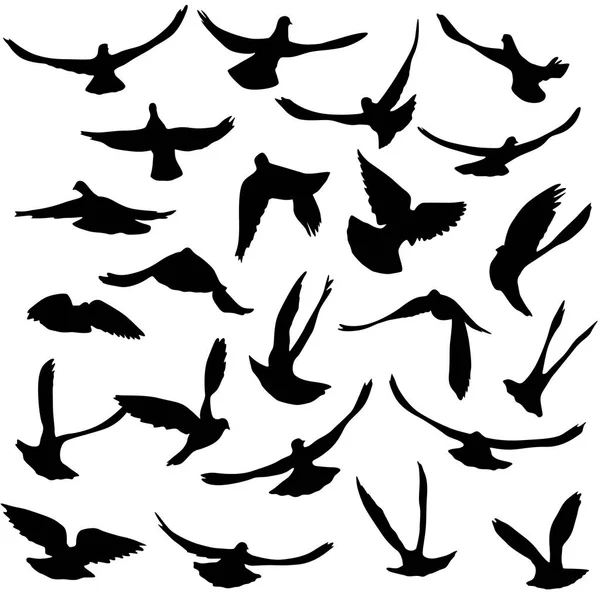 Concepto de amor o paz. Conjunto de siluetas de palomas — Vector de stock