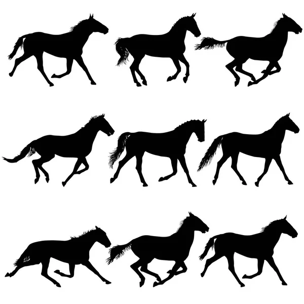 Set silueta animal de caballo mustang negro ilustración — Archivo Imágenes Vectoriales