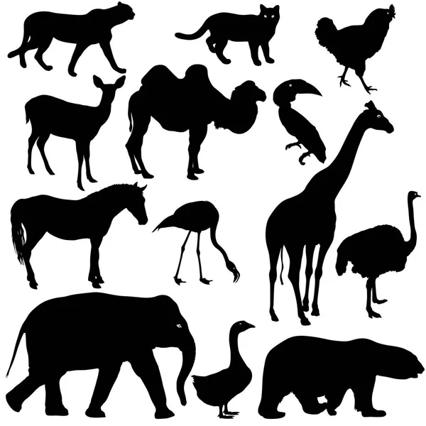 Silhouet olifant tijger dragen giraffe flamingo pelikaan gans op een witte achtergrond — Stockvector