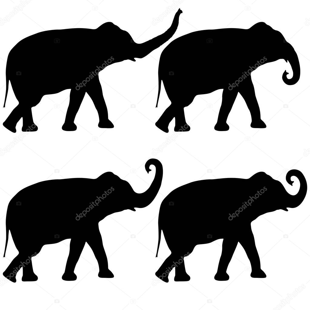 Set Silhouette large African elephant on a white background