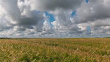Zaman sukut peyzaj hasat, buğday alanının.