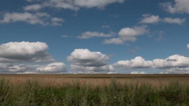 Zaman sukut peyzaj hasat, buğday alanının.