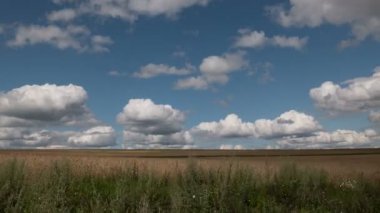 Zaman sukut peyzaj hasat, buğday alanının.