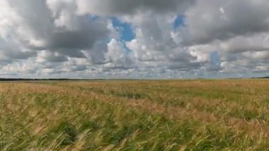 Zaman sukut peyzaj hasat, buğday alanının.