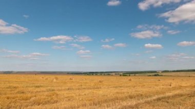Zaman sukut peyzaj hasat, buğday alanının