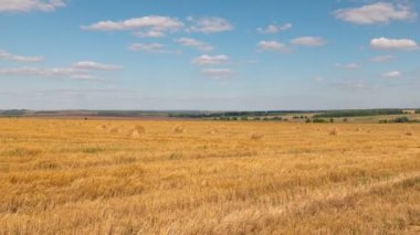 Zaman sukut peyzaj hasat, buğday alanının