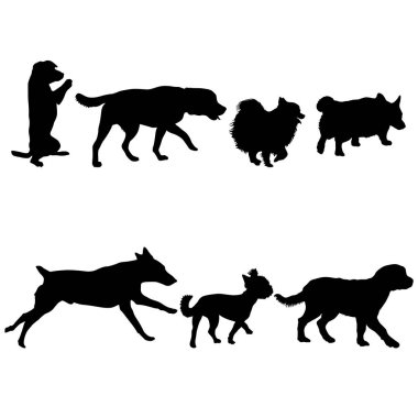 Beyaz bir arka plan üzerinde set siluet siyah köpek