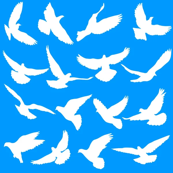 Konzept von Liebe oder Frieden. gesetzte Silhouetten Tauben. — Stockvektor