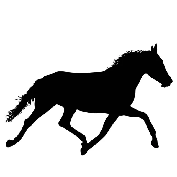 Silueta animal de caballo mustang negro ilustración — Vector de stock