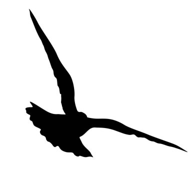 Aşk veya barış siluetleri güvercinkavramı