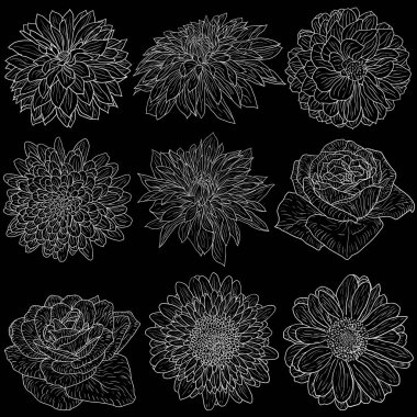 İzole güzel tek renkli kroki, siyah ve beyaz çiçek