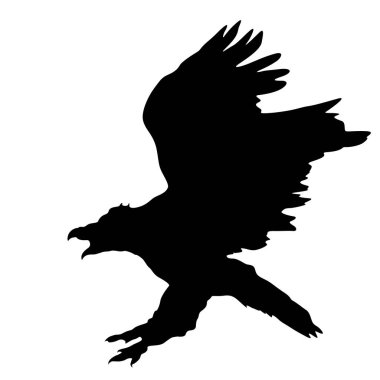 Beyaz bir arka plan üzerinde güzel kartal siluet