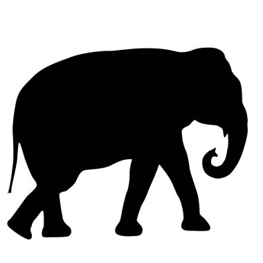 Beyaz arka planda siluet büyük Afrika fili