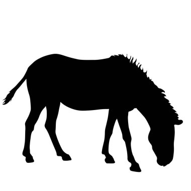 Beyaz zemin üzerine siluet Afrika zebra