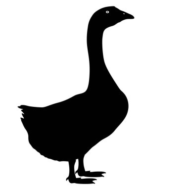 Siluet kuş kaz beyaz bir arka plan üzerinde