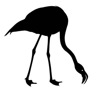 Siluet kuş flamingo beyaz bir arka plan üzerinde