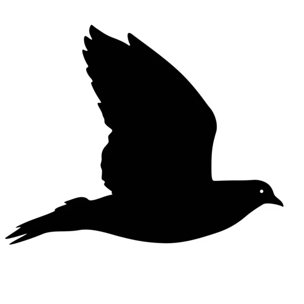 Concepto de amor o paz siluetas palomas — Archivo Imágenes Vectoriales