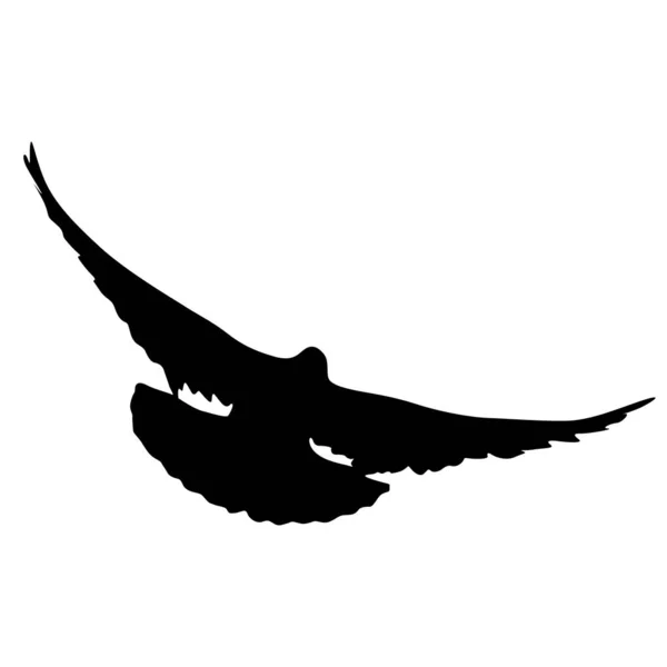 Konzept der Liebe oder Frieden Silhouetten Tauben — Stockvektor