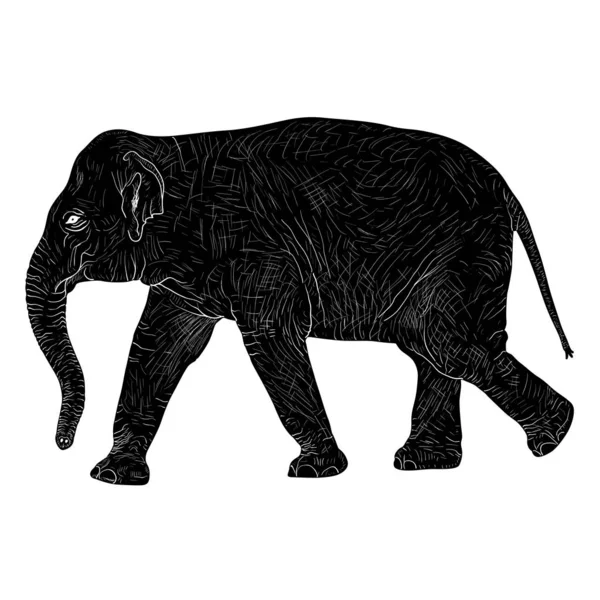 Beyaz arka planda siluet büyük Afrika fili