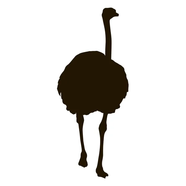 Silhouette big ostrich standing on a white background — Stock Vector