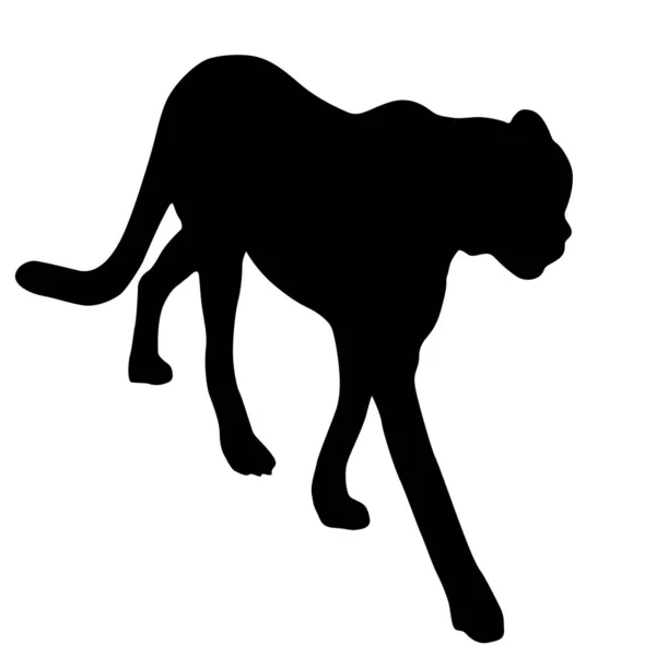 Silhueta do Lynx sobre um fundo branco —  Vetores de Stock