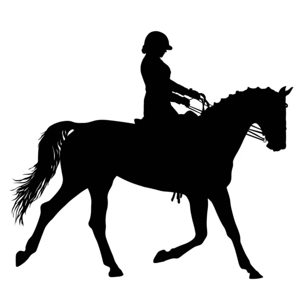 La silhouette noire du cheval et du jockey — Image vectorielle