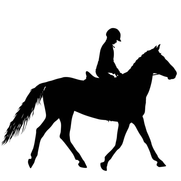 La silhouette noire du cheval et du jockey — Image vectorielle