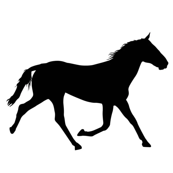 Тваринний силует чорного мустанга кінь ілюстрація — стоковий вектор