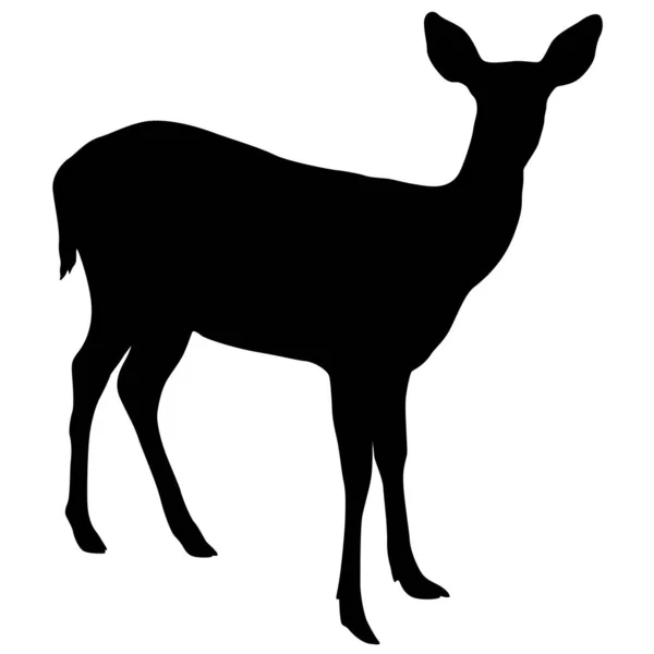 Silhouette du cerf sur fond blanc — Image vectorielle