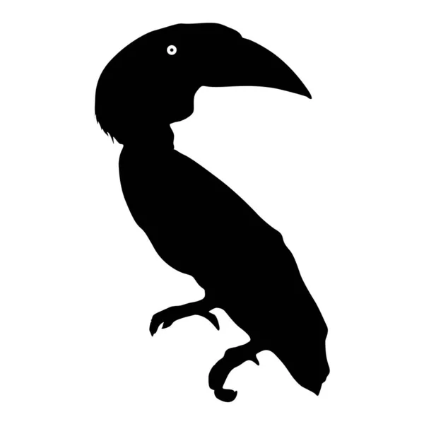 Silhouette des Vogel-Tukan auf weißem Hintergrund — Stockvektor