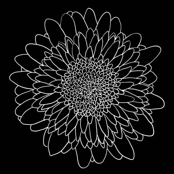 Mooie zwart-wit schets, zwart-witprinter dahlia bloem geïsoleerd — Stockvector