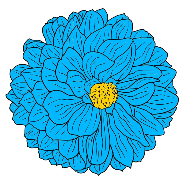 Krásný barevný náčrt, květina Dahlia na bílém pozadí — Stockový vektor