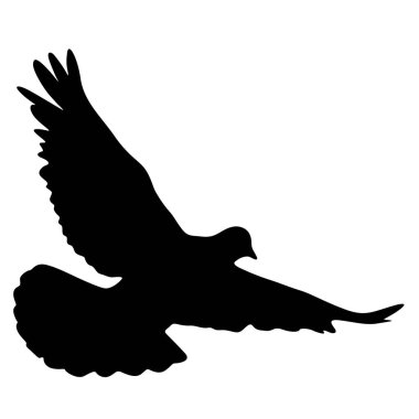 Aşk veya barış siluetleri güvercinkavramı