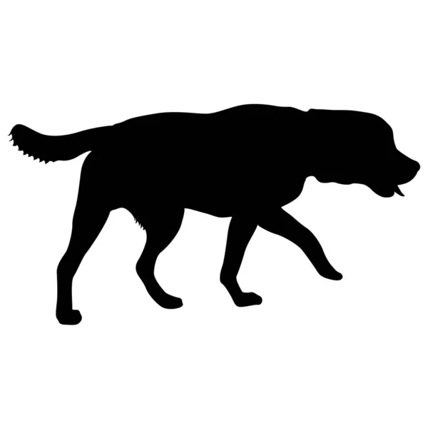 Labrador-Hundesilhouette auf weißem Hintergrund — Stockvektor