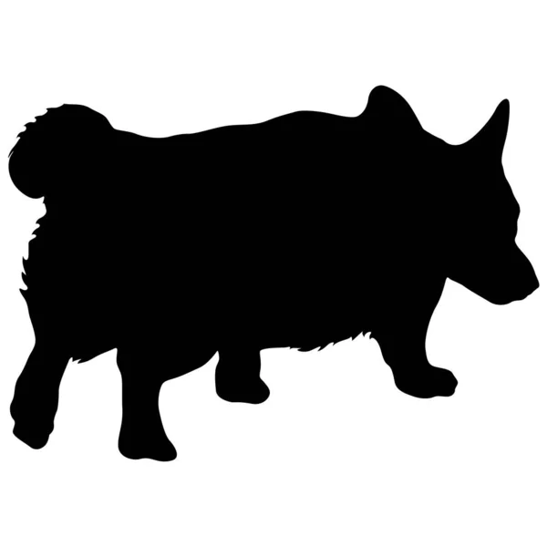Walesiska Corgi hund siluett på en vit bakgrund — Stock vektor