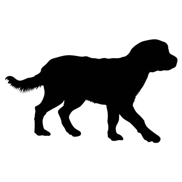 Silueta de perro labrador sobre fondo blanco — Vector de stock
