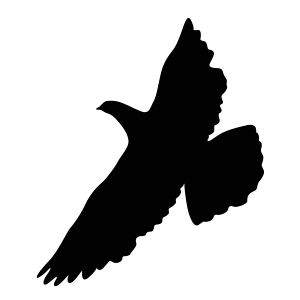 Concept d'amour ou de paix silhouettes colombes — Image vectorielle