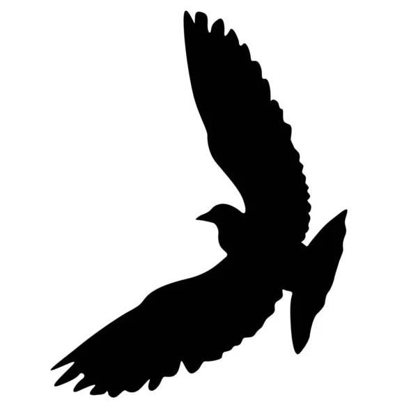 Concept d'amour ou de paix silhouettes colombes — Image vectorielle