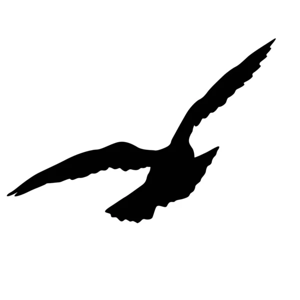 愛や平和のシルエット鳩の概念 — ストックベクタ