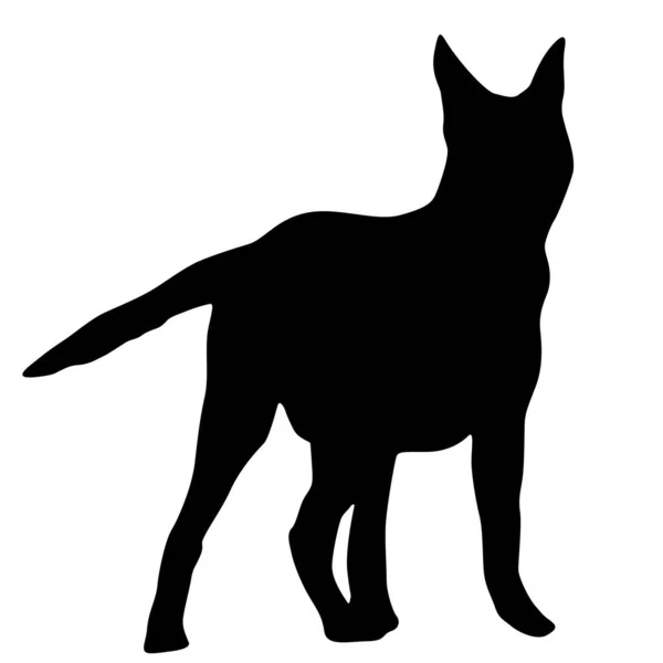Silhouette de chien berger sur fond blanc — Image vectorielle