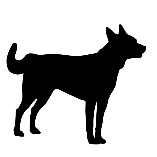 Silueta de perro pastor sobre fondo blanco — Vector de stock