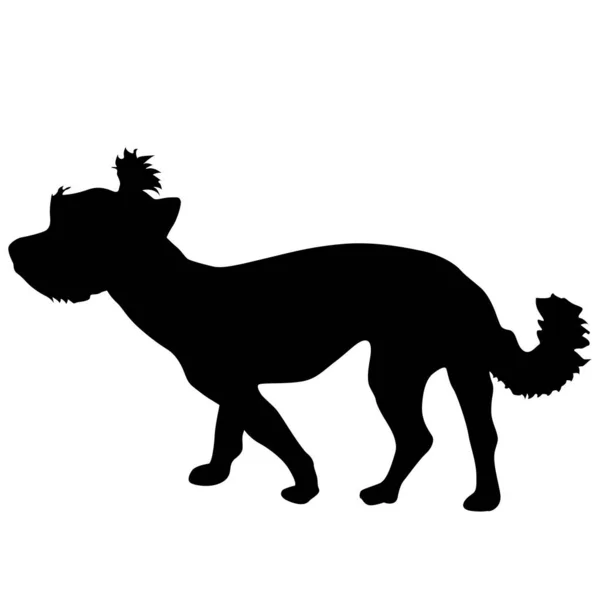 Yorkshire Terrier silhouette de chien sur fond blanc — Image vectorielle