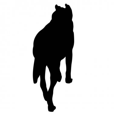 Beyaz zemin üzerine çoban köpeği siluet