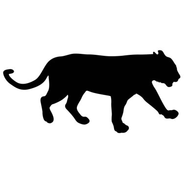 Beyaz bir arka planda dişi aslanın silueti.